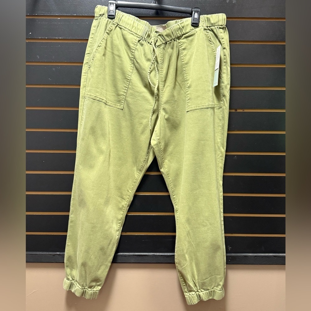 Laurie Felt Los Angeles Green Drawstring Jogger Pants Size Large NWT